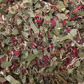 Infusion Tea For Men, 